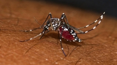 Chikungunya à la Réunion. Une symptomatologie mal connue, un traitement à découvrir, des séquelles exagérées, des acteurs négligés